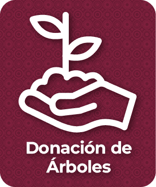 btn_15-donacion-de-arboles.png